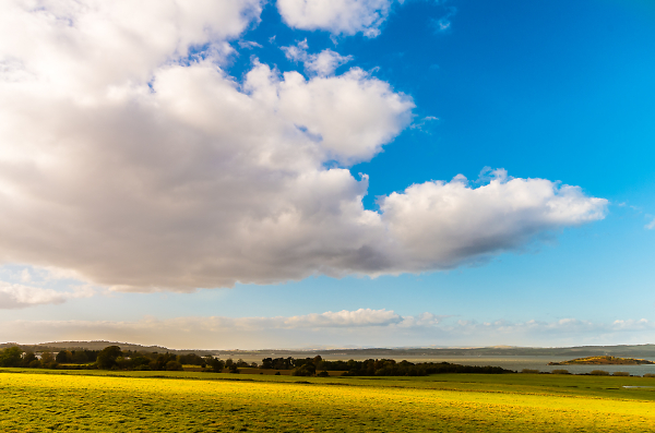 Field