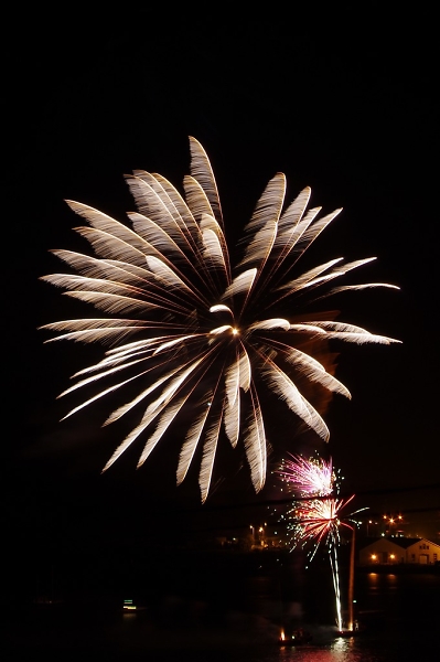 Firework 1