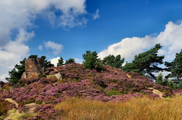 Ilkley Moor