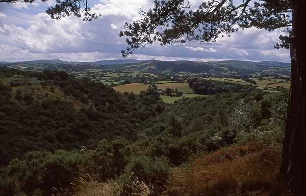 Teign Valley from Castle Drogo