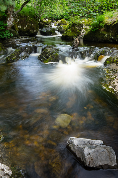 Tranquil Waters