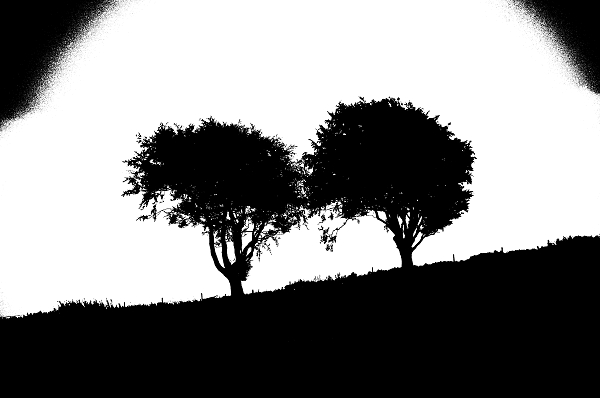 Trees