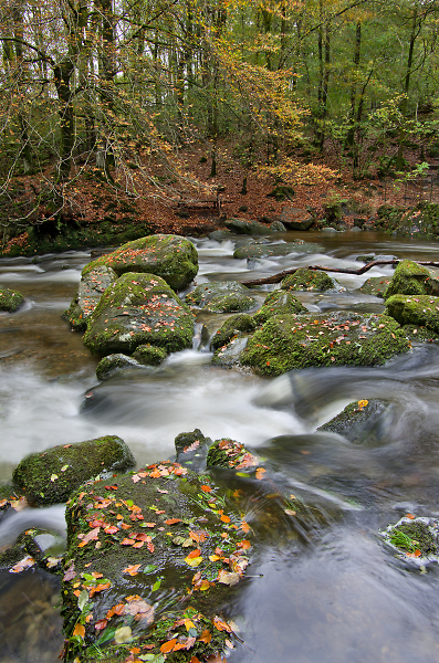 View Across The River