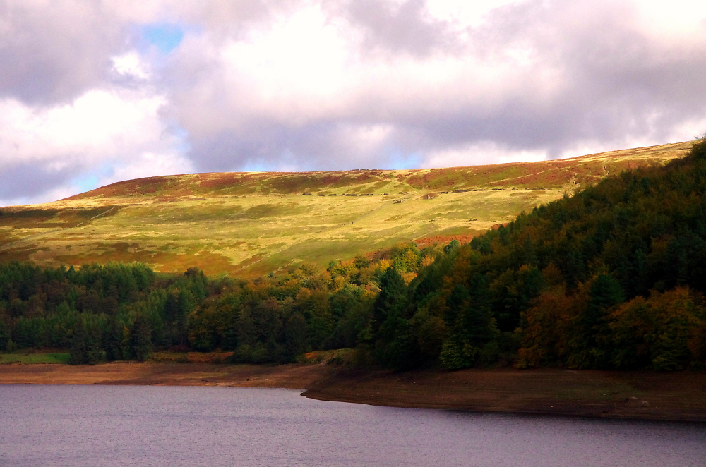 Derwent in the autumn sunshine