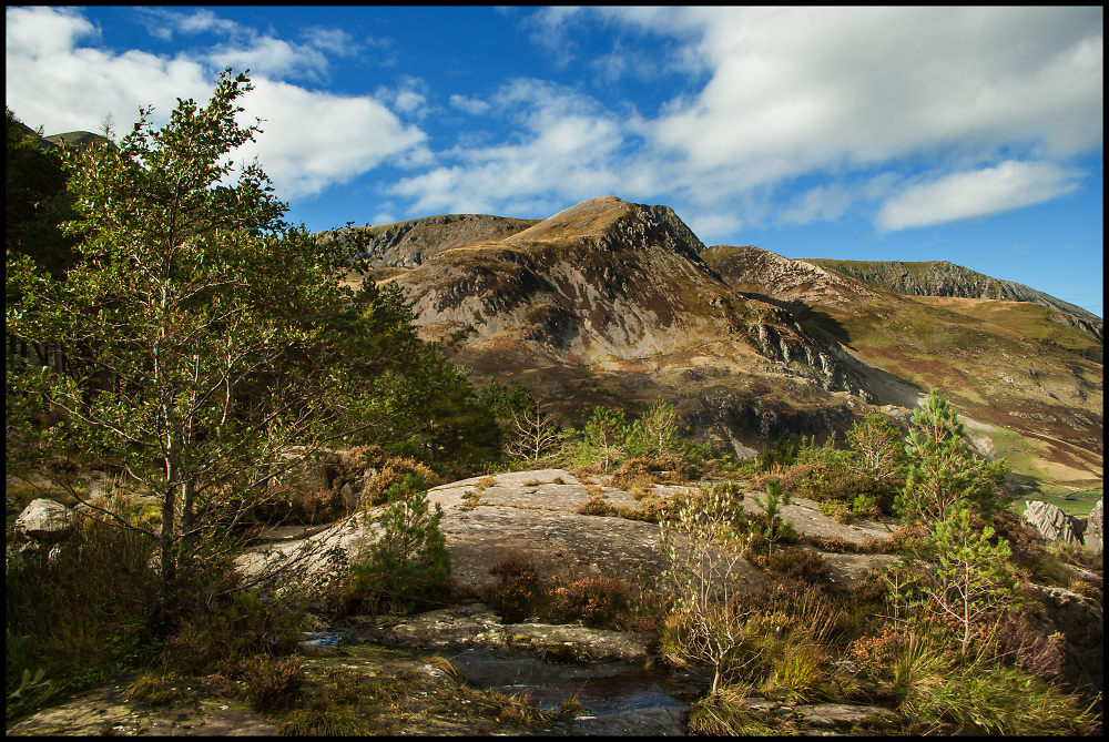 Foel Goch