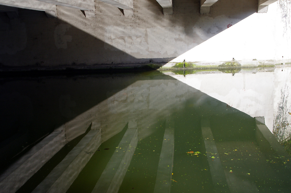 Bridge