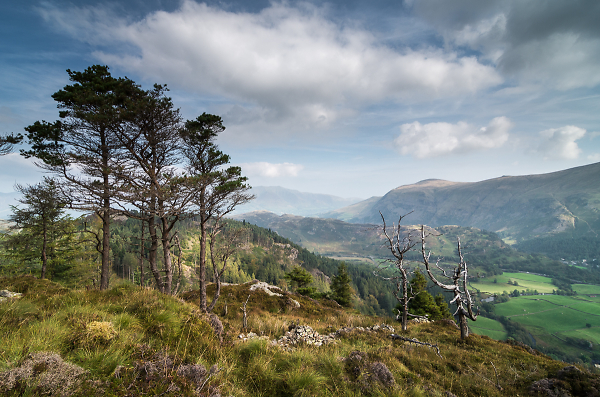 Dappled Light over Raven Crag
