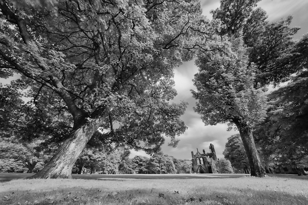 Kirkstall Abbey