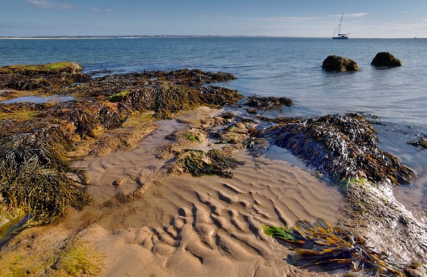 Knoll Beach, Studland 2