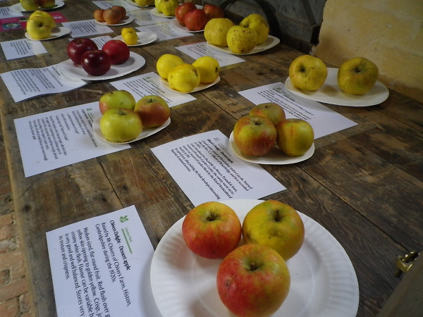 Old English Apples.