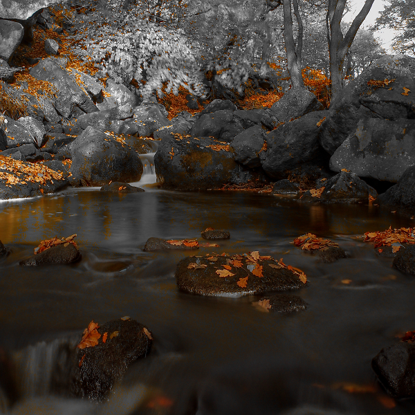 Padley Gorge 2