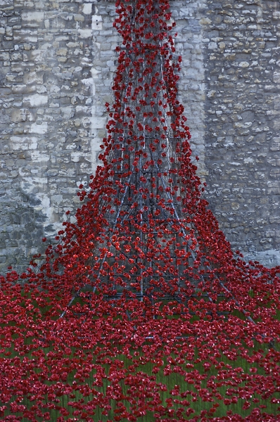 Poppies at the Tower of London