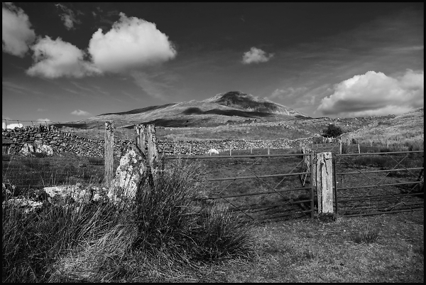 Arenig Fawr