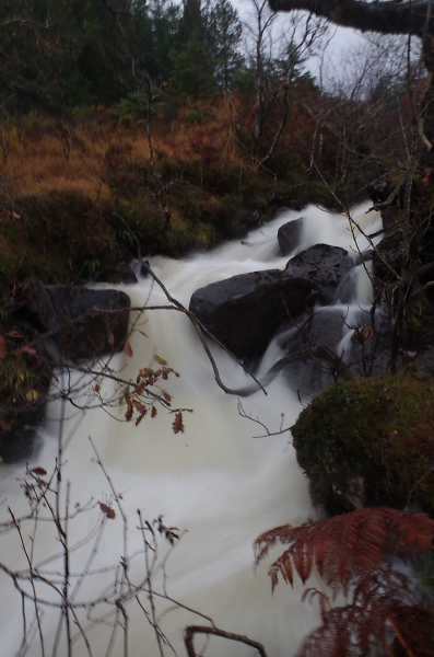 River Run