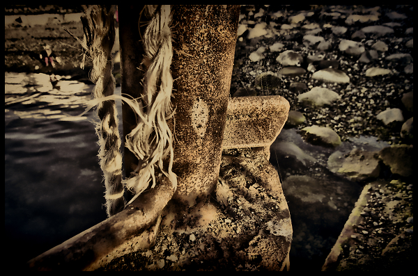 Rule of Ninths.