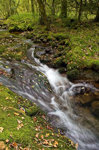 Scae Falls