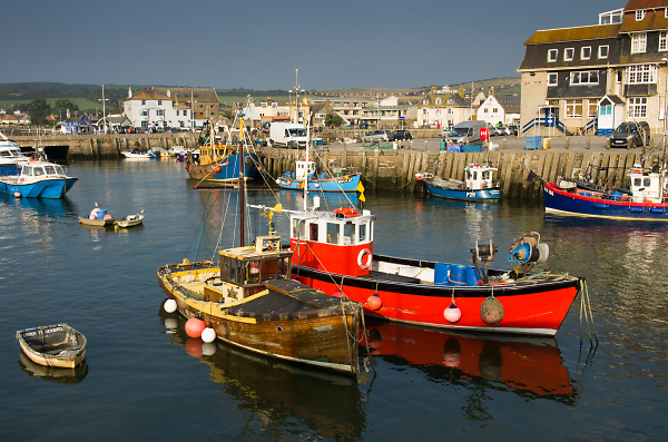 Summer's evening at West Bay harbour