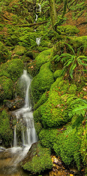 Sylvan Falls