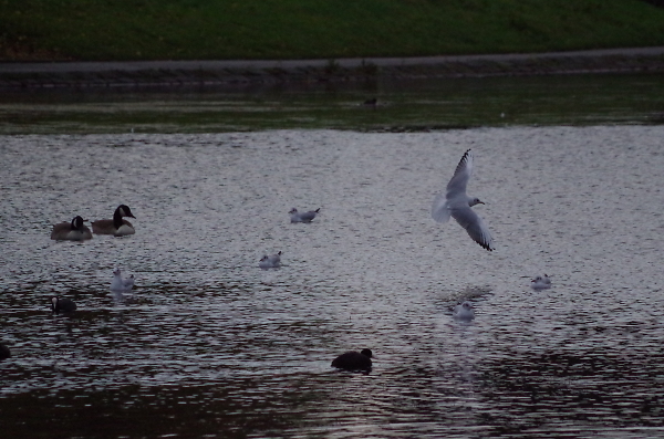 Test shot