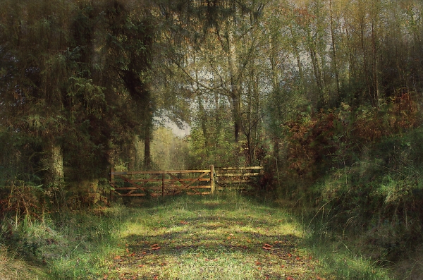 The Gate