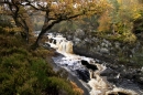 Autumn at the Falls of Rogie border=