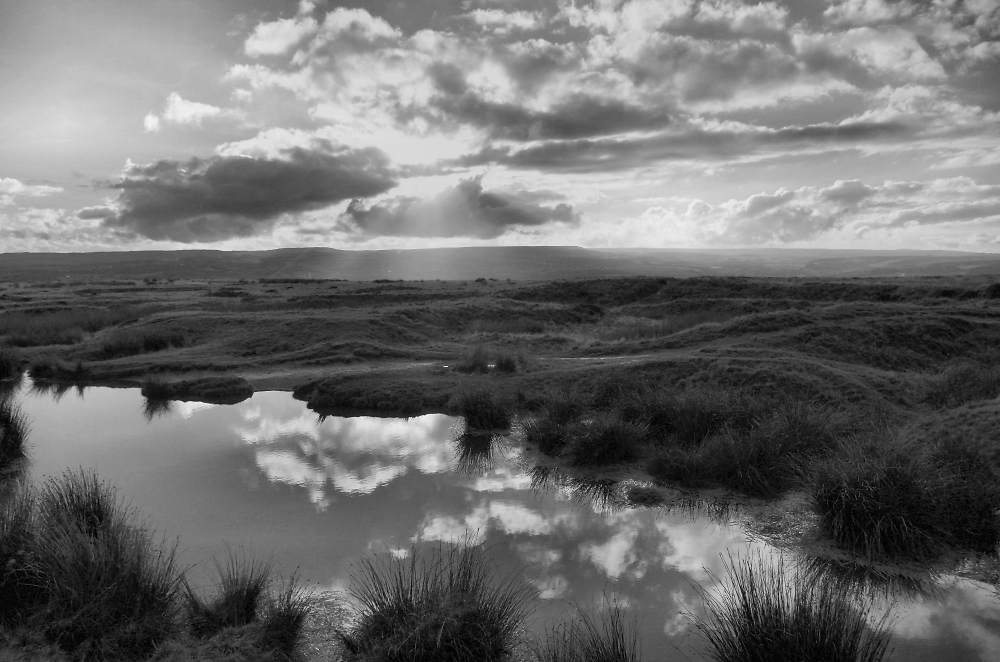 Baildon Moor