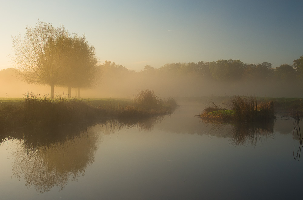 early mist