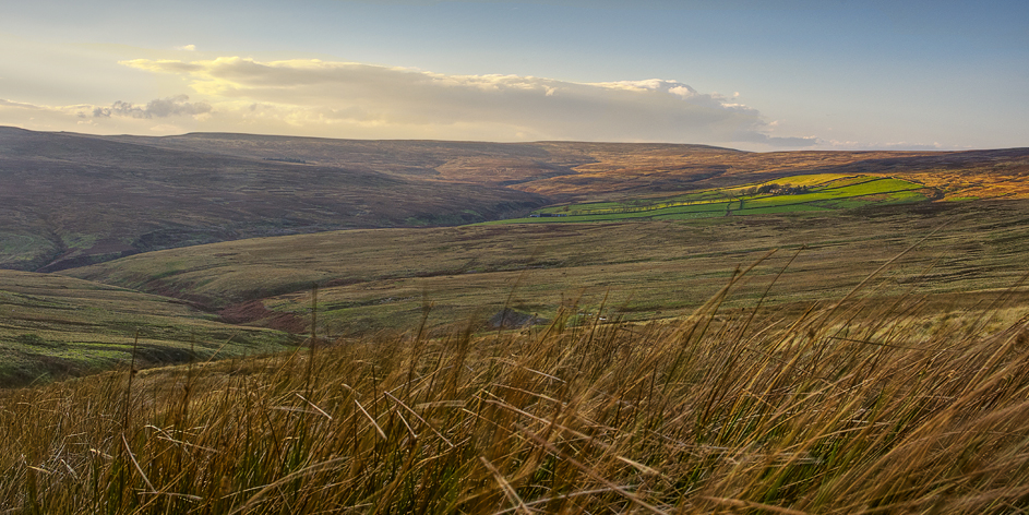 Stanhope Moors