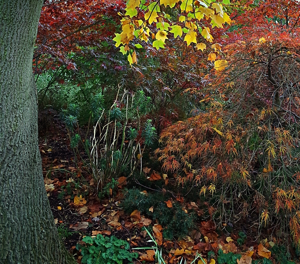 Autumn textures