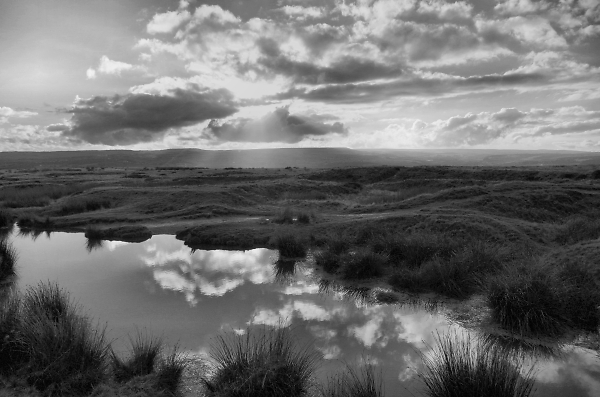 Baildon Moor