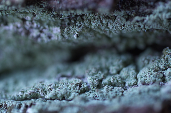 cave