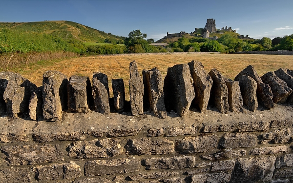 Corfe Castle from the Fields 1
