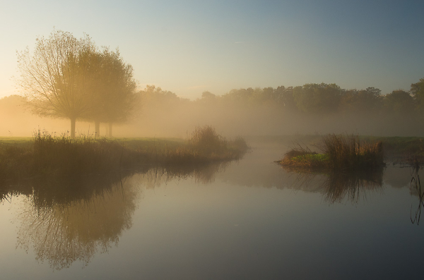 early mist