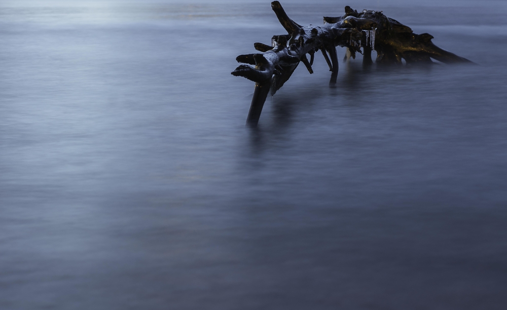 Sea
