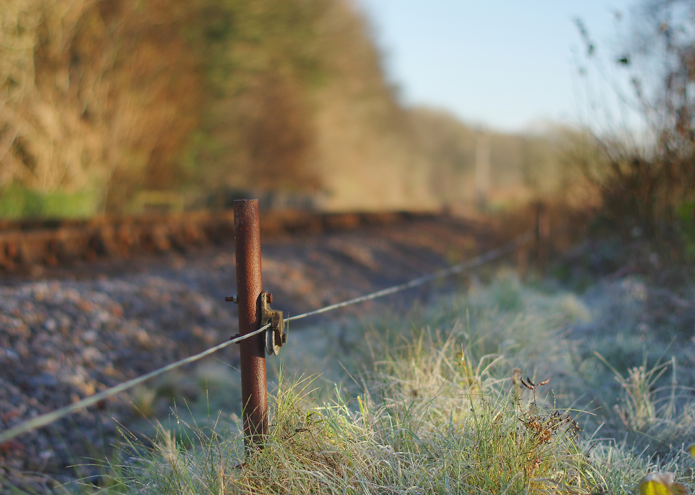 Signal Wire