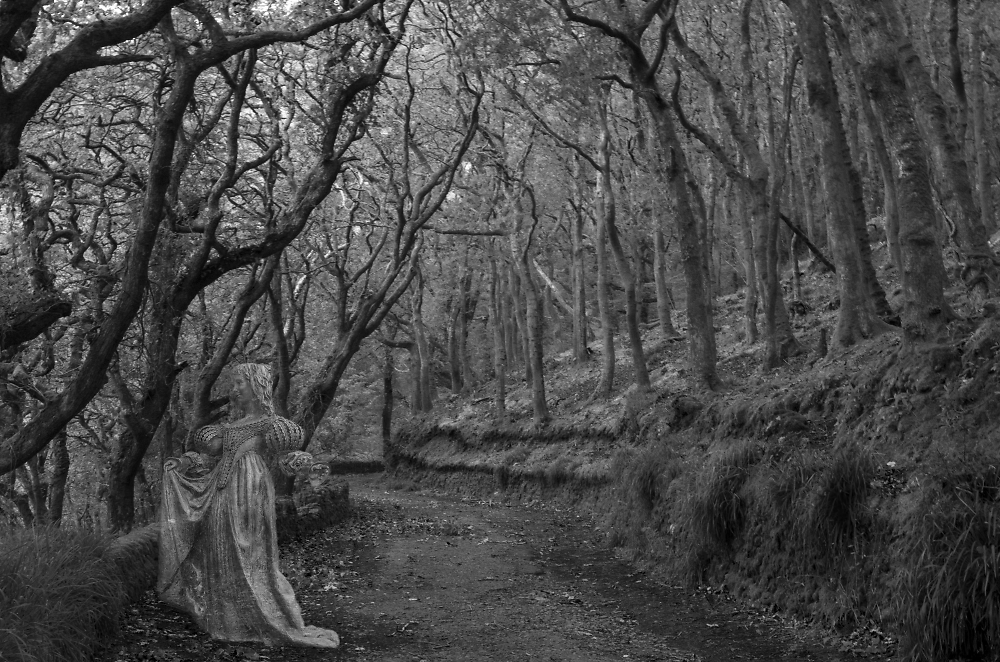 The Ghost of Lorna Doone at Woody Bay