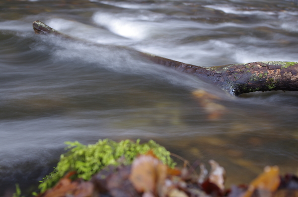 Brockburn log