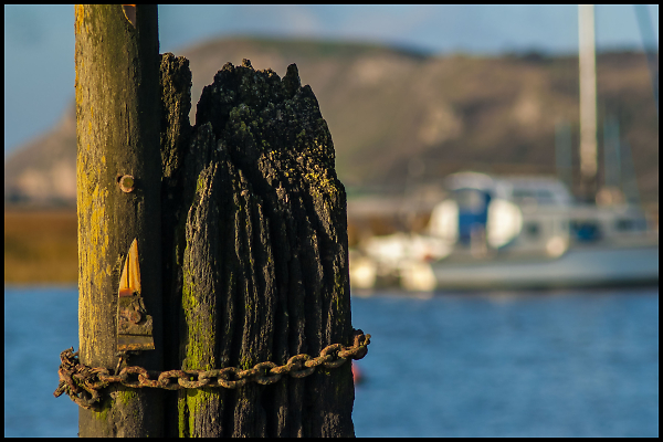 Channel Marker on the River Axe