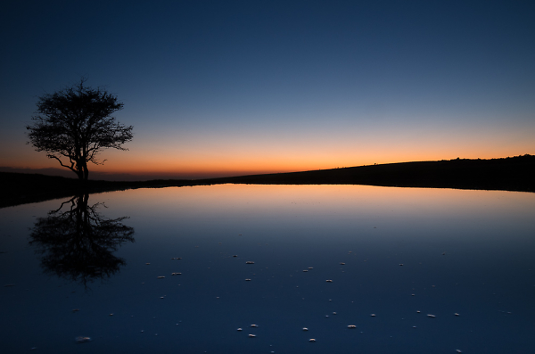 Dew Pond
