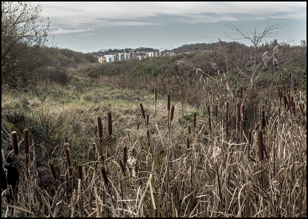In the Distance: Portishead