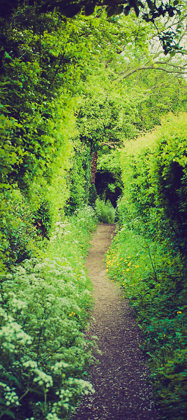 Path...