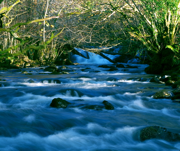 Savary River