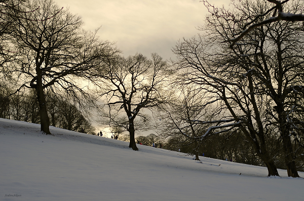Sledging on Saturday