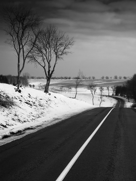 White lines