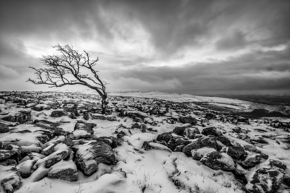 Yorkshire Dales, Snow