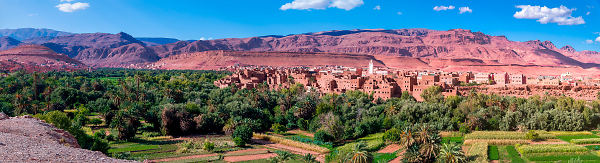 Autumn at the oasis