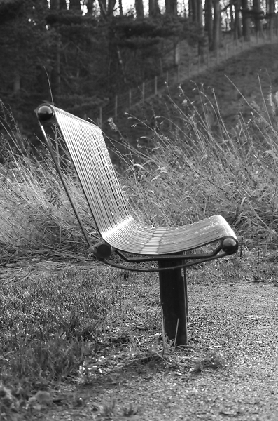 bench at the end of the path
