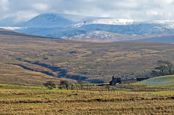 Cold Fell View