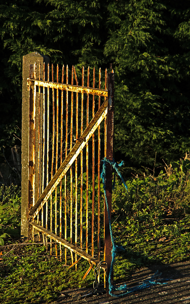 Forgotten Gate