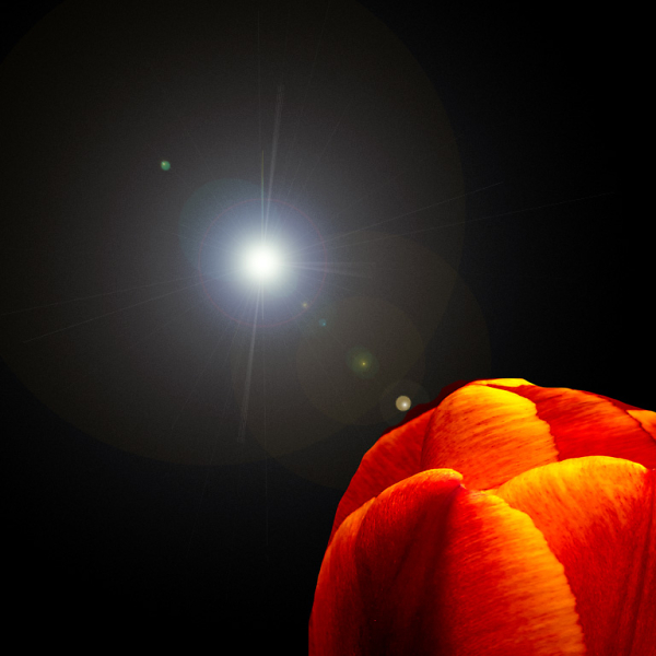 Lens Flare